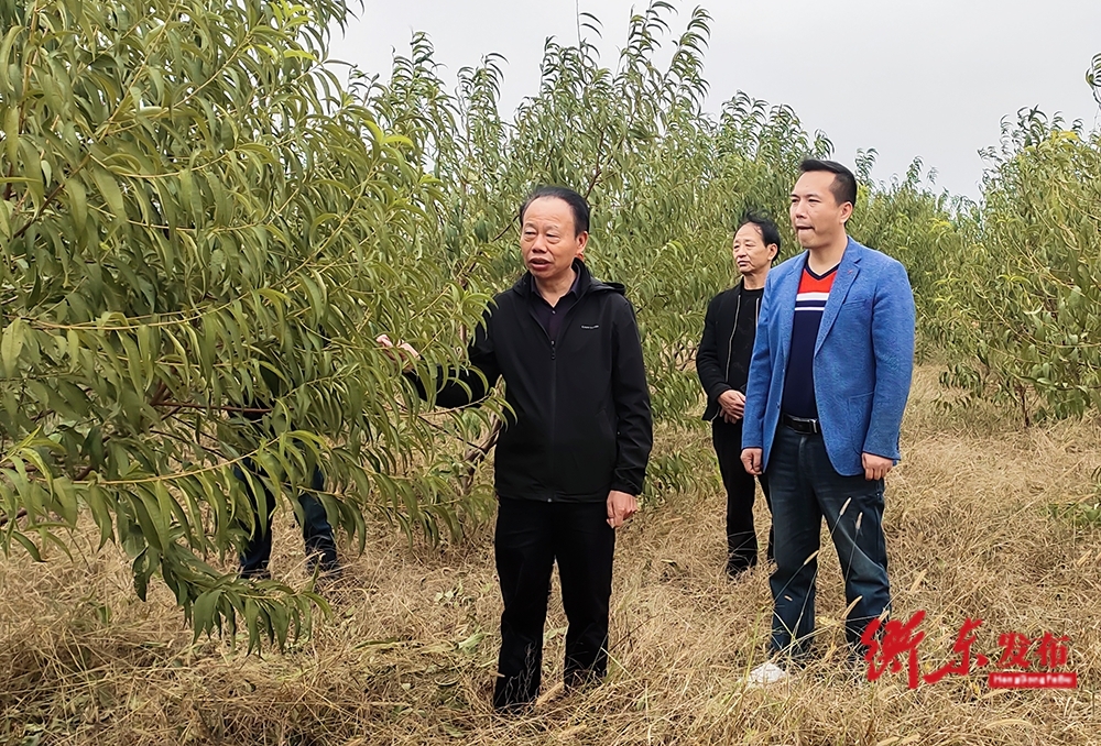 【我的衡阳 我的奋斗】秦生富：用心履职 为民解忧