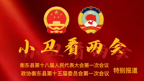视频《小卫看两会》