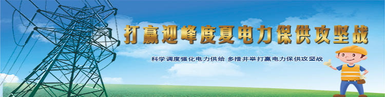 【专栏】《打赢迎峰度夏电力保供攻坚战》