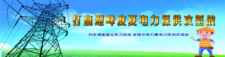 【专栏】《打赢迎峰度夏电力保供攻坚战》