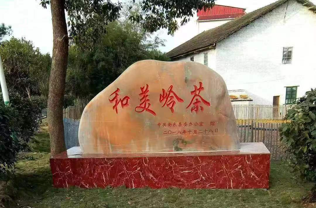 【城乡治理标准化】大浦岭茶：田园美如画