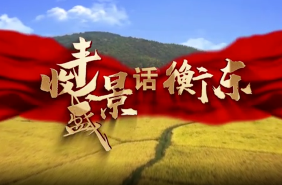 【视频】丰收盛景话衡东