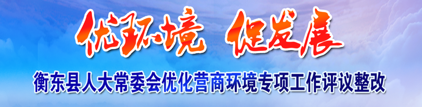 【专栏】《优环境促发展——衡东县人大常委会优化营商环境专项工作评议整改》