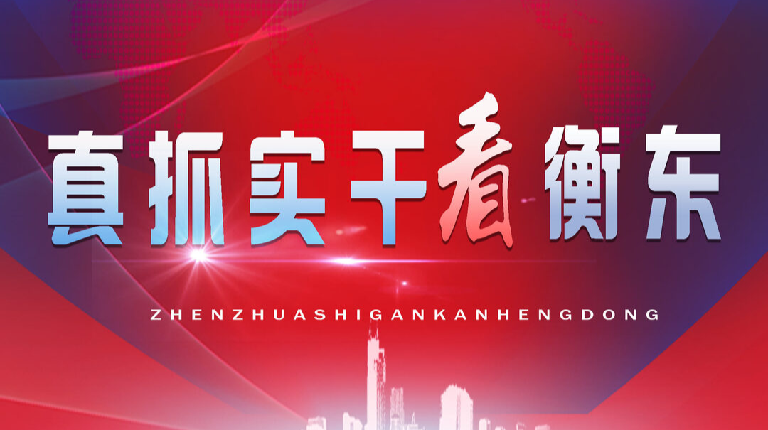 【专栏】真抓实干看衡东