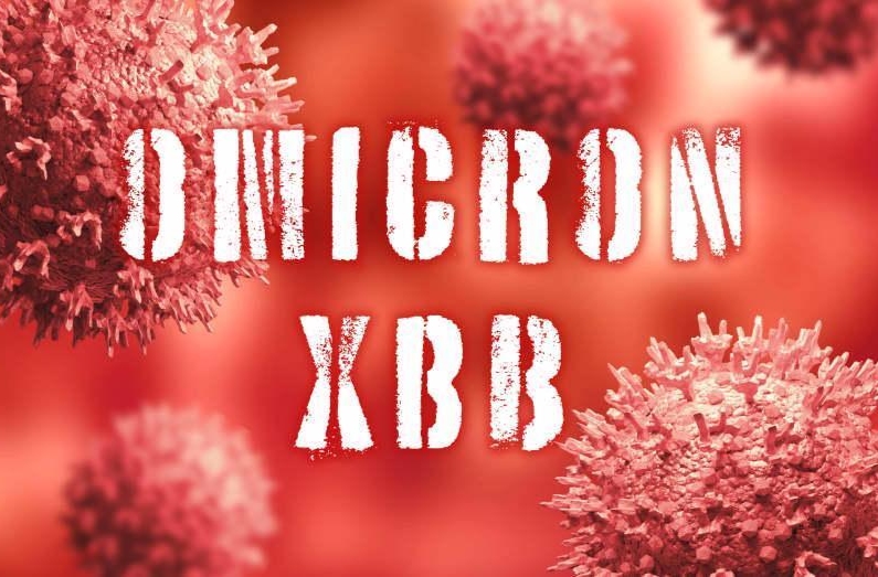 科普动起来丨周知！关于XBB1.5的八问八答②