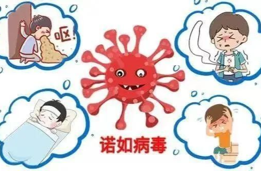 科普动起来 | “又吐又泻”！ 诺如病毒磨人不轻 预防贴士需牢记