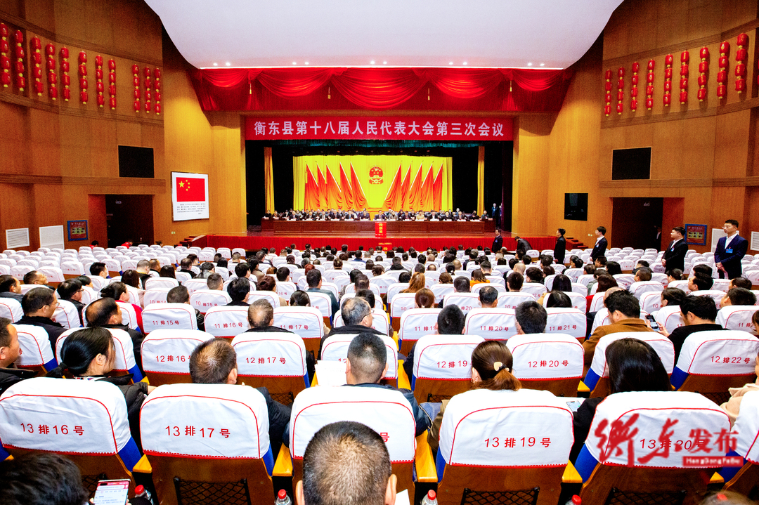 【直击两会】衡东县第十八届人民代表大会第三次会议举行第三次全体会议 补选县人大常委会副主任票决县 2023年民生实事项目