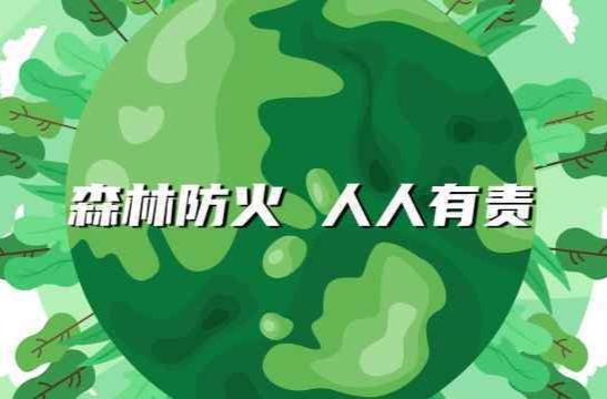 科普动起来丨森林防火“十不要”要常记