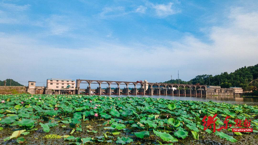 图片新闻衡东暑你最美看烈日下的河道保洁员