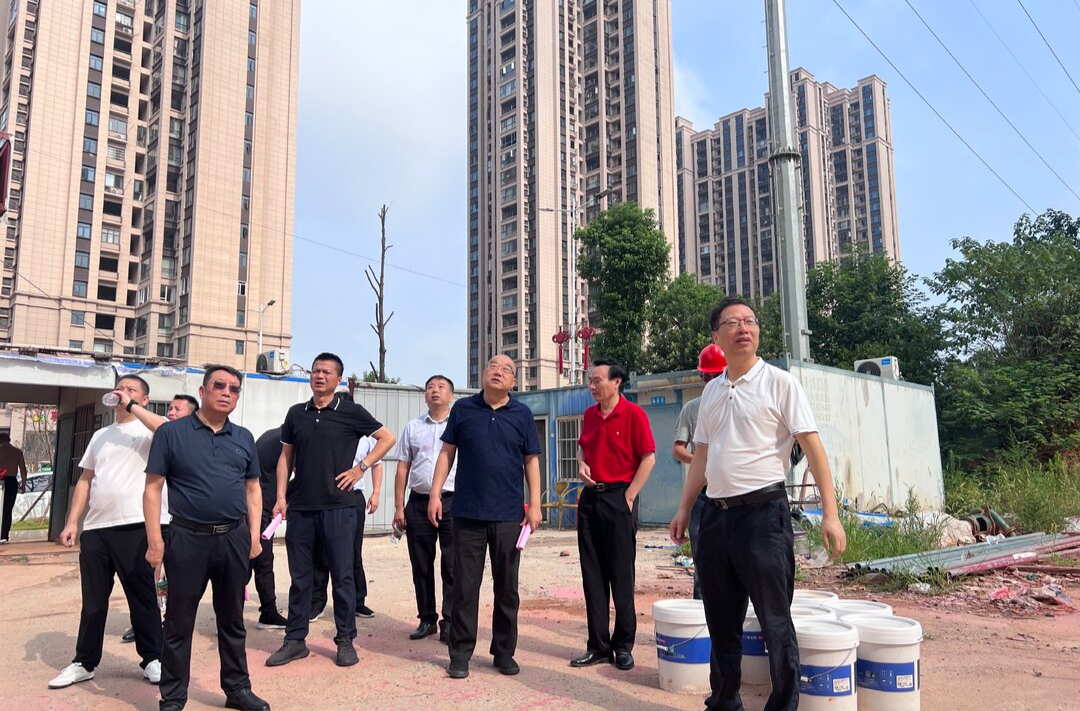 黄立深入我县调研指导工作