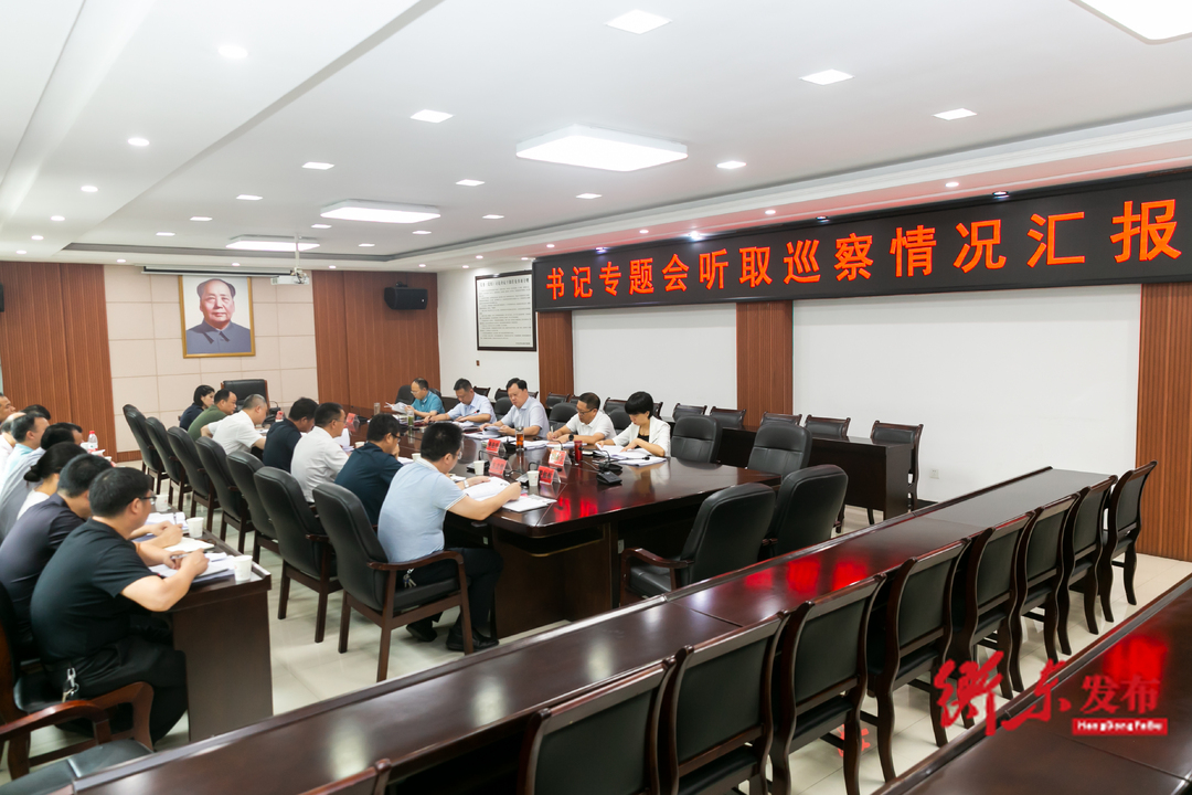 谭建华主持召开书记专题会议听取巡察情况汇报