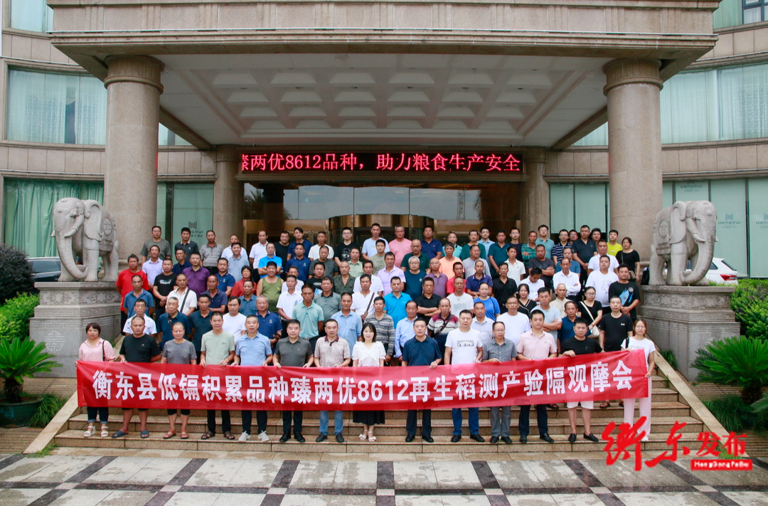 【乡村振兴】大力推广种植低镉水稻品种 助力农民增产增收