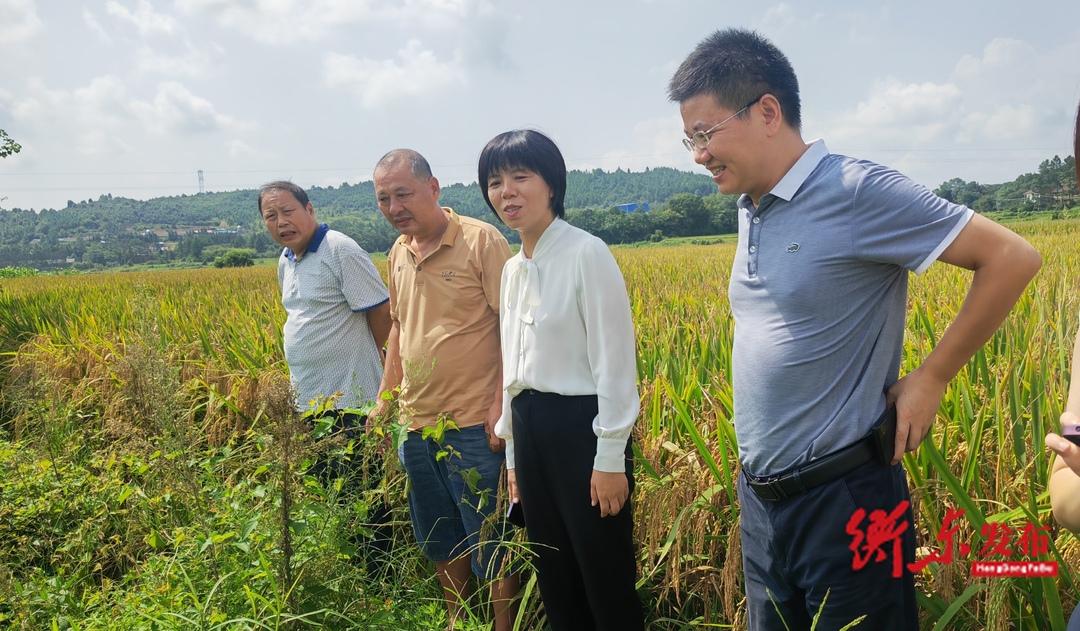县领导深入联点乡镇调研指导工作