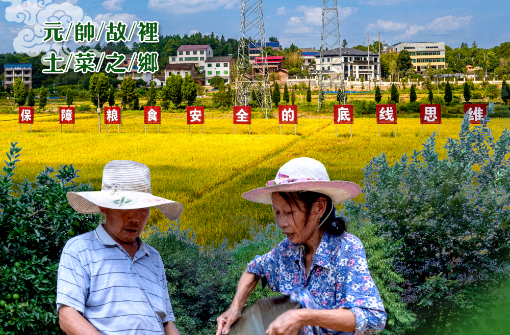 【海报】庆丰收 促和美｜丰收的喜悦盈满质朴的面庞