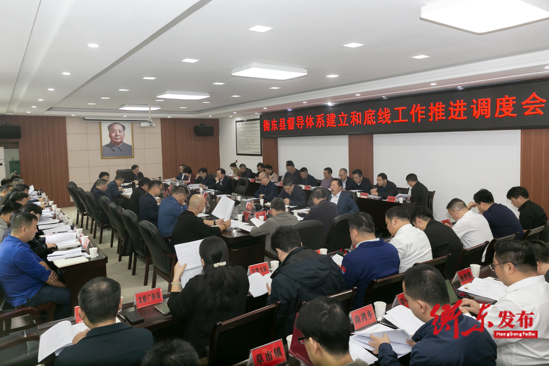 谭建华主持召开督导体系建立和底线工作推进调度会强调  做实督查机制  推动各项工作高效精准落实到位