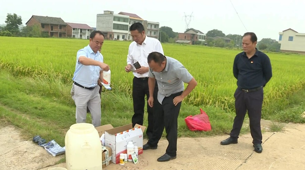 【罗帅故里党旗红】视频|无人机党员服务队 践行为农服务初心