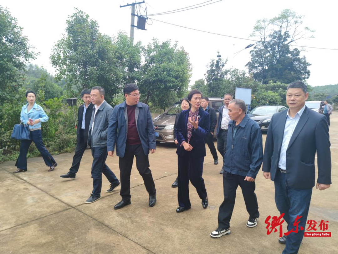 市人大到我县开展乡村振兴工作调研