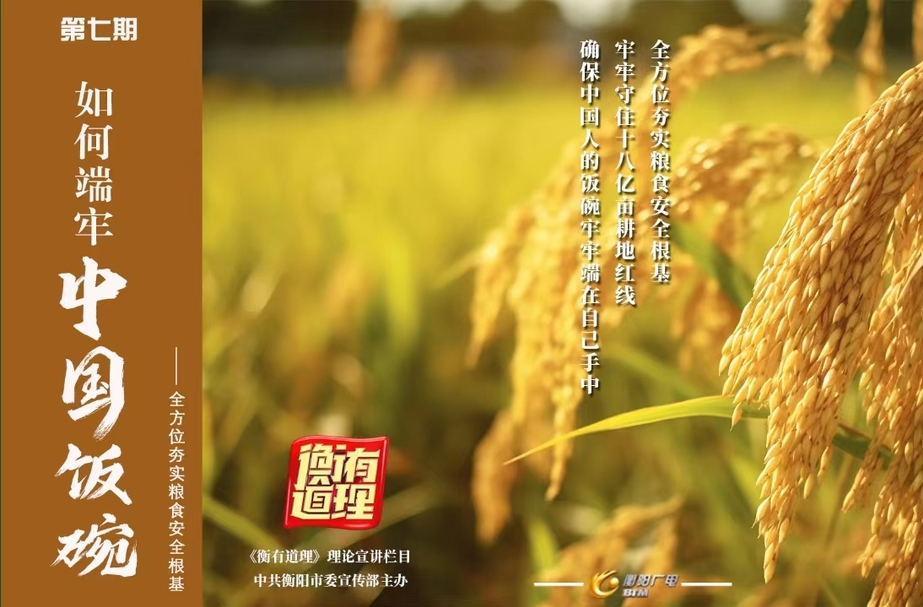 如何端牢中国饭碗 ——全方位夯实粮食安全根基《衡有道理》理论宣讲栏目第七期