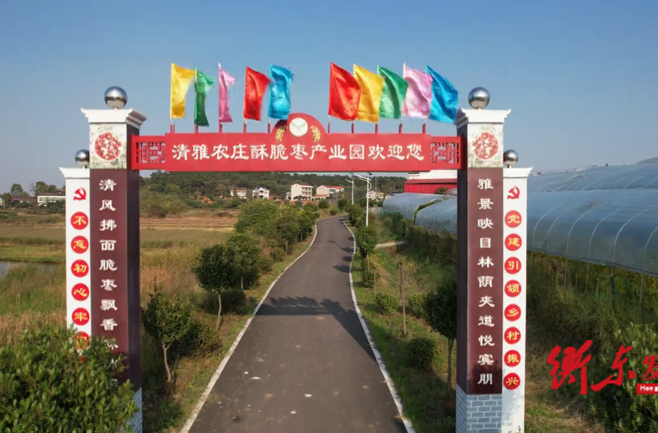 【乡村振兴】大浦镇青鸦村：“弱村”变“强村”   “青鸦”变“凤凰”