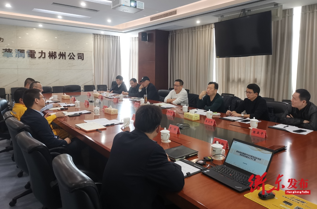 蒋崇华到华润电力湖南有限公司调研光伏发电项目建设情况