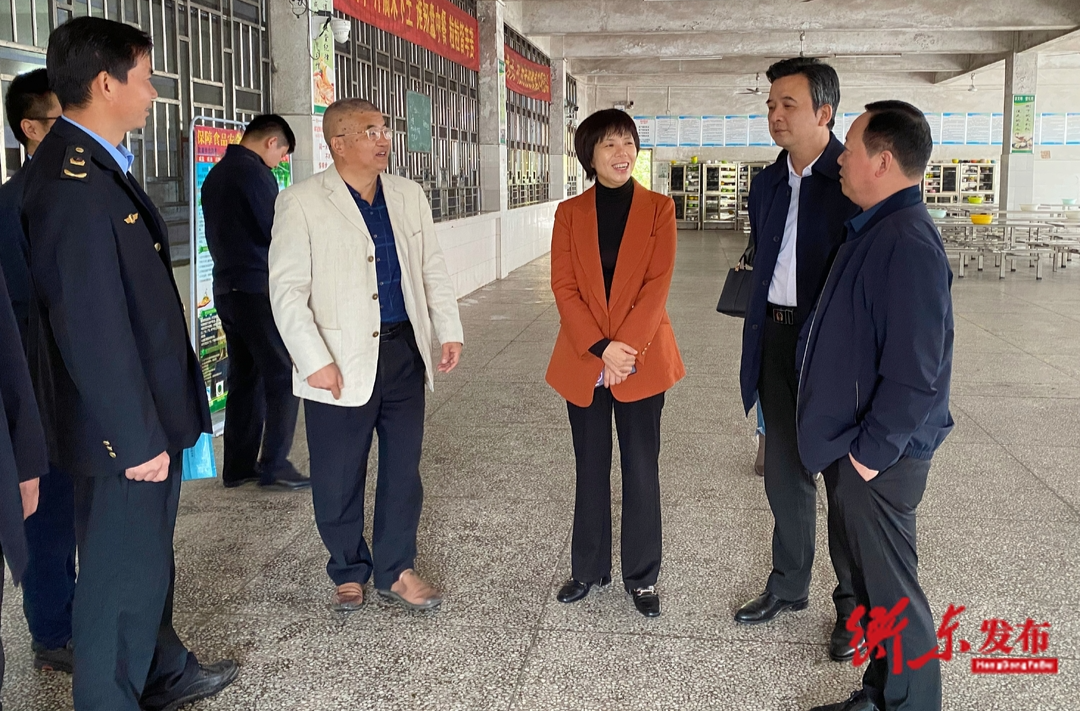 县领导前往杨桥镇开展工作调研
