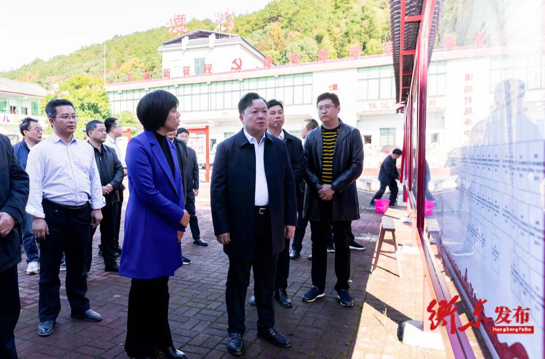 谭建华深入新塘镇潭泊村调研基层党建工作