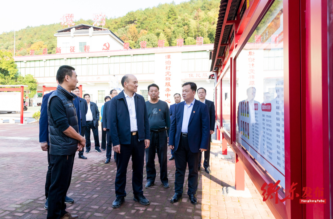 刘越高赴衡东县调研基层党建工作