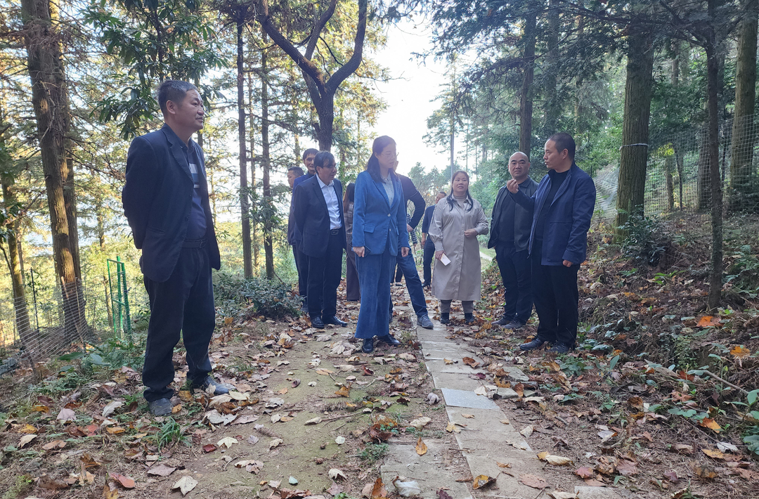 市政协来我县开展改善生态环境民主监督调研