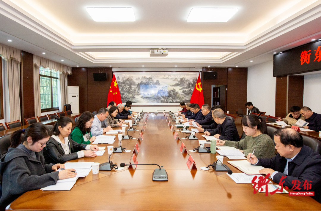衡东县省级卫生县复审见面会召开