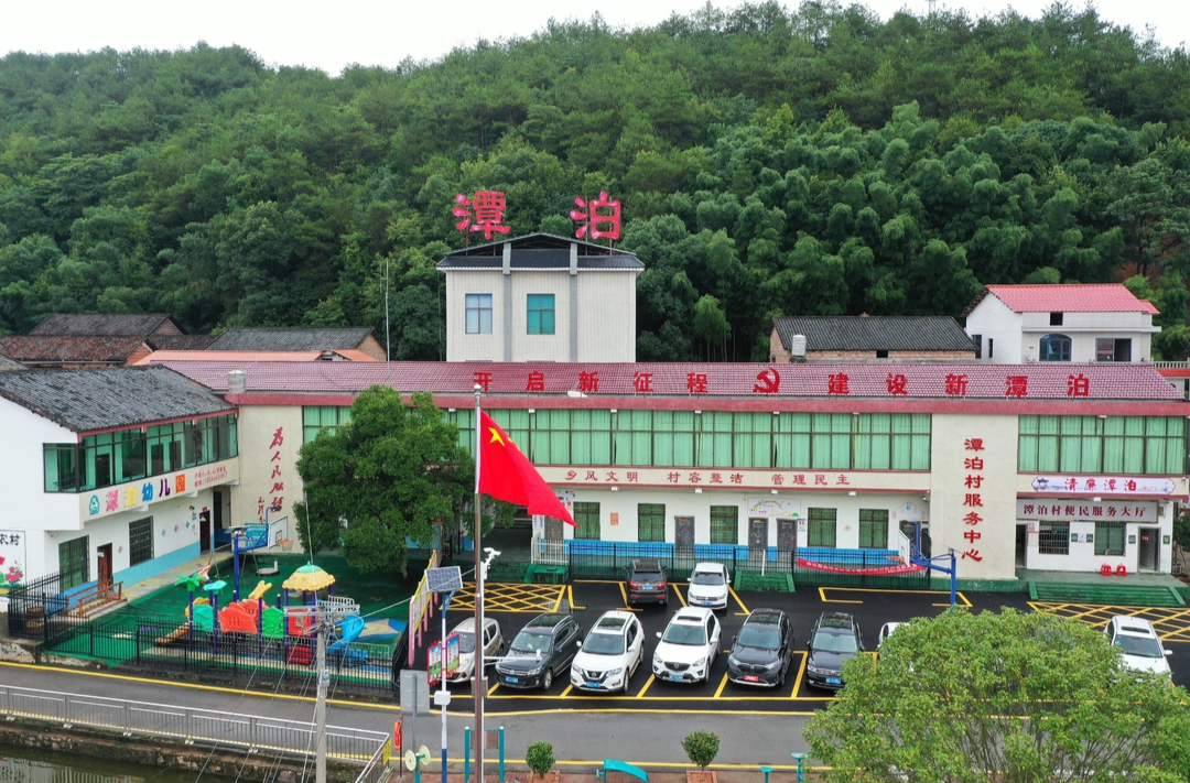 【罗帅故里党旗红】视频|潭泊村：以基层党建引领社会治理创新