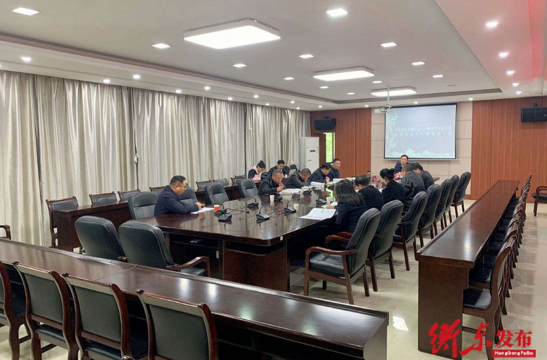 罗荣桓故居增补点——（黑田罗氏新大屋）局部恢复与环境整治工程勘察设计方案汇报会召开