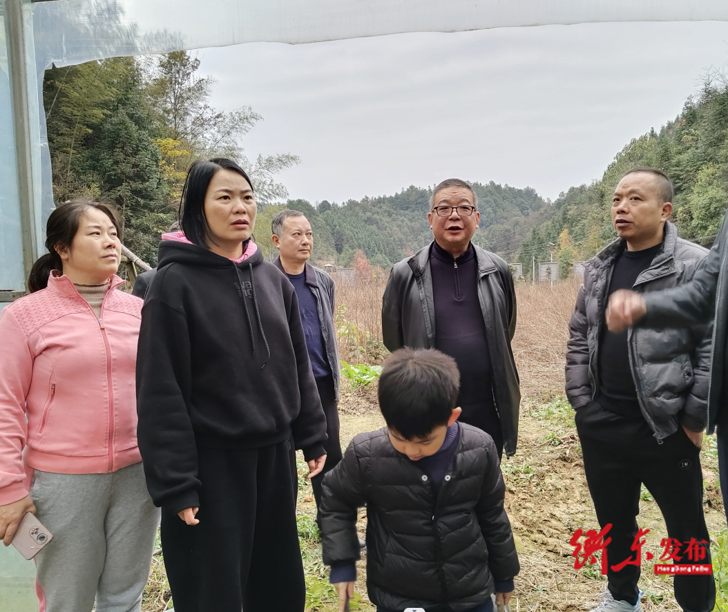 县领导调研旅发大会观摩线路沿线风貌提质工作