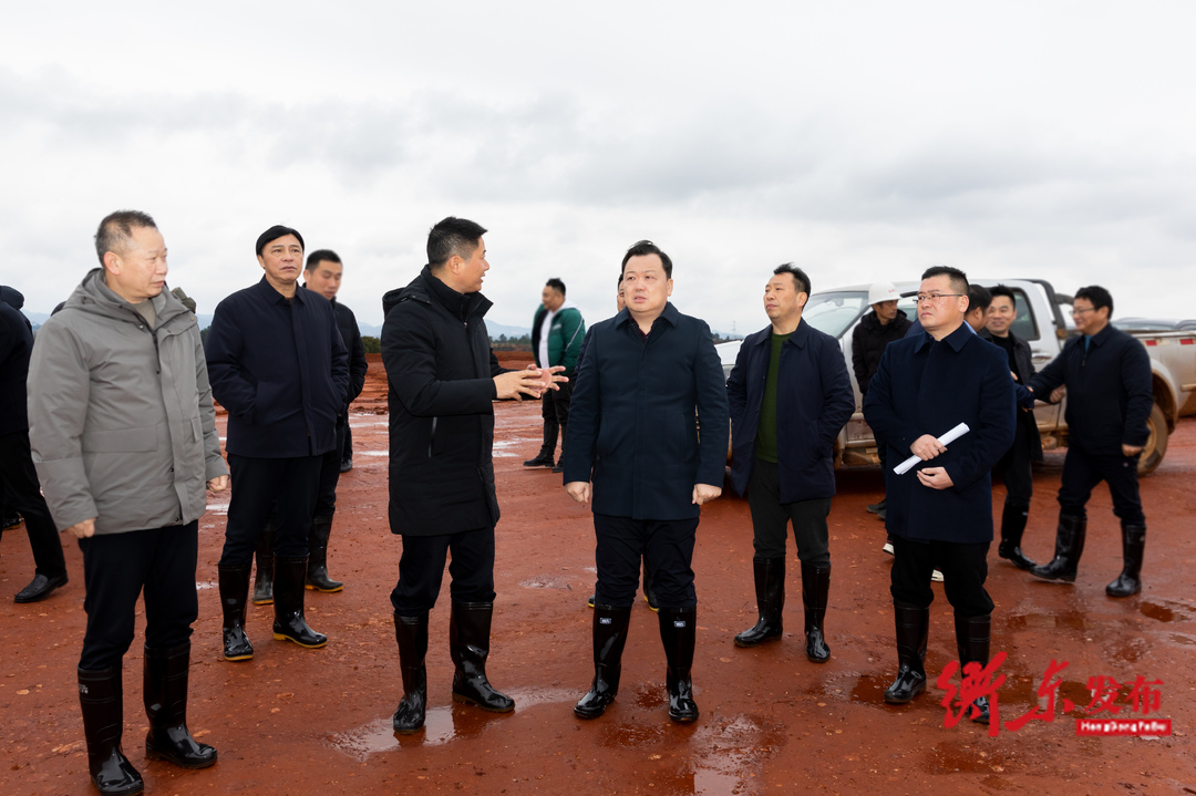 谭建华深入衡东经开区调度绿色低碳盐碱产业园项目建设工作