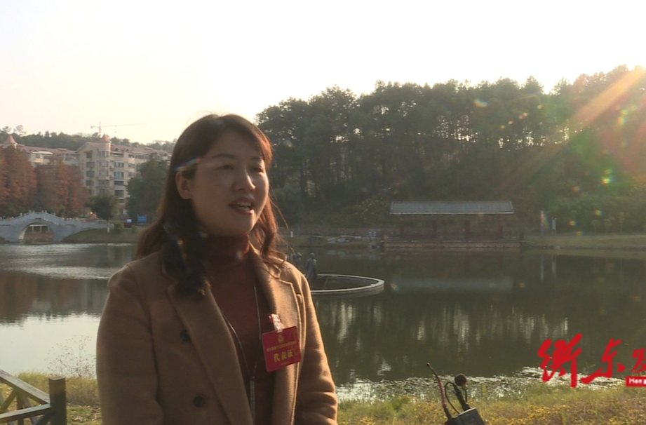 衡东县第十三次妇女代表大会：代表感言 收获满满
