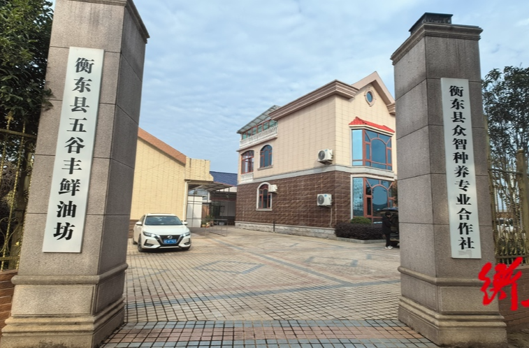 【好客衡东 好品衡东】五谷丰鲜油坊：纯天然 野生山茶油