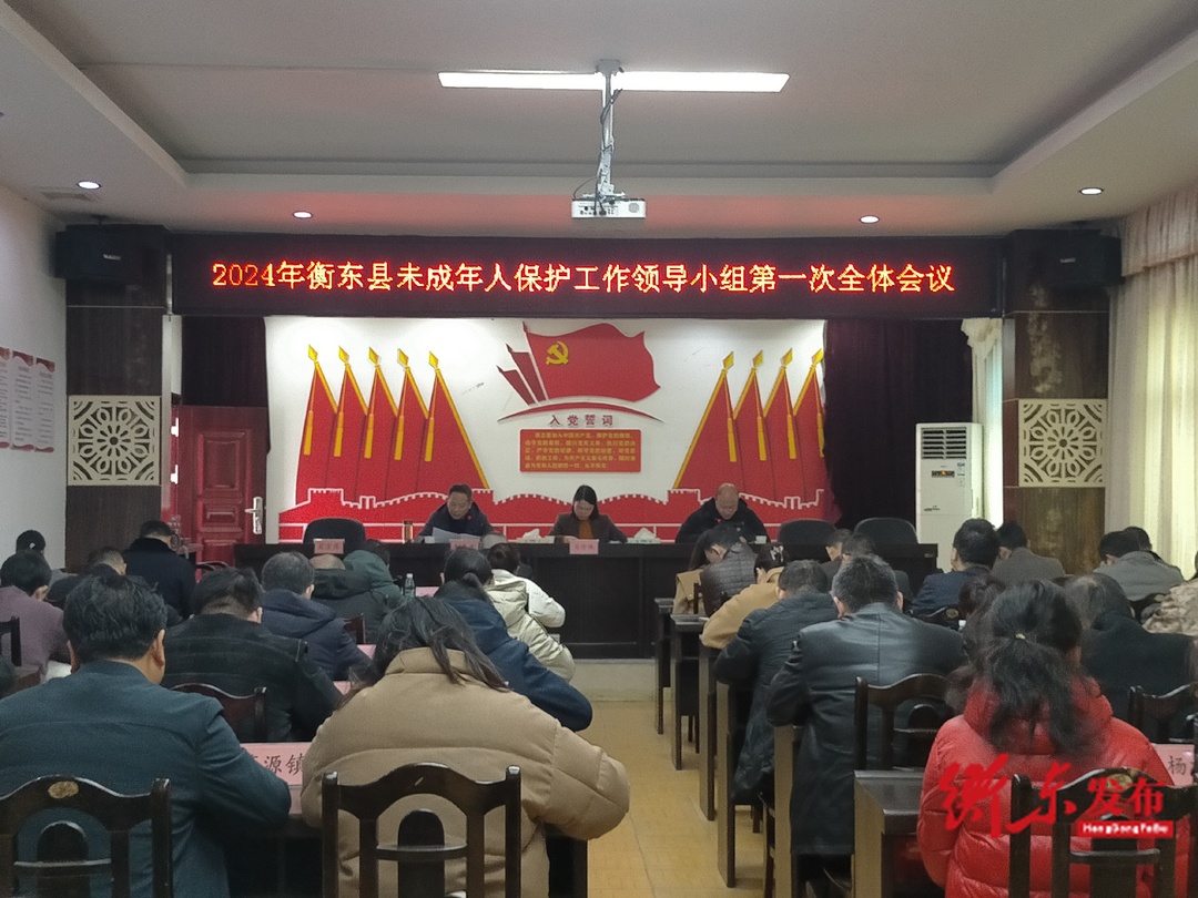 衡东县召开未成年人保护工作领导小组2024年第一次全体会议