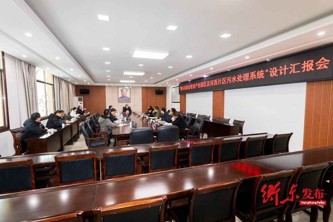 “衡东县泵业智造产业园区及河西片区污水处理系统“ 设计汇报会召开