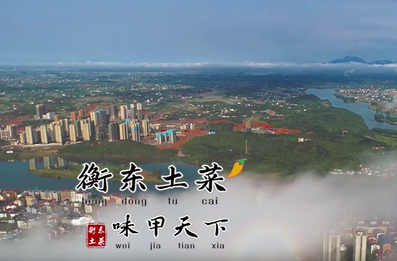 【视频】《衡东土菜 味甲天下》系列纪录片③《预制菜》