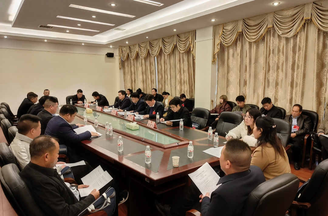 【两会动态】县领导参加人大各代表团分组讨论