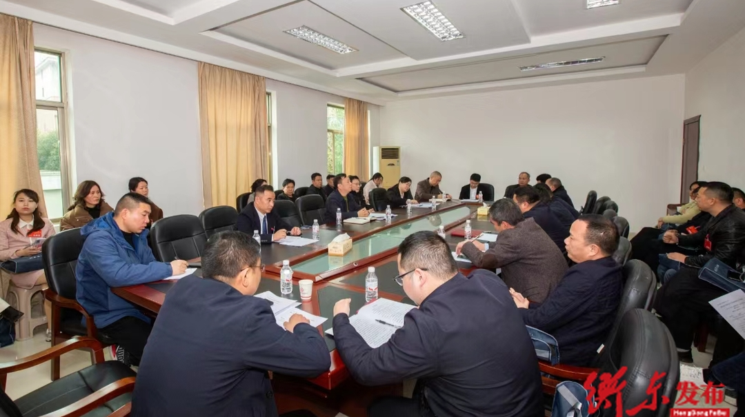 【两会动态】县领导参加人大各代表团分团讨论