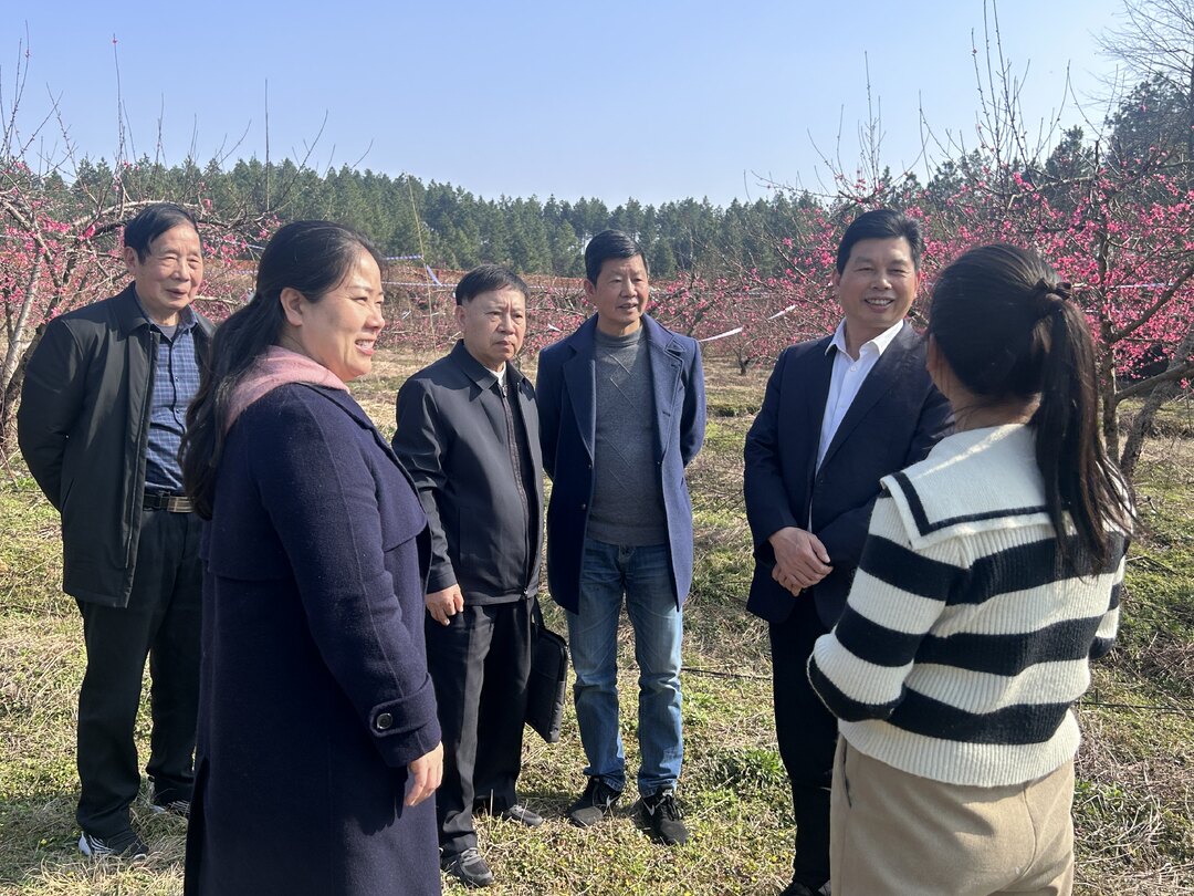 县人大赴杨林镇调研洣水百里画廊文旅发展 