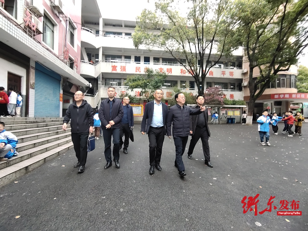 衡东县迎宾完小迎接“利剑护蕾”督查工作
