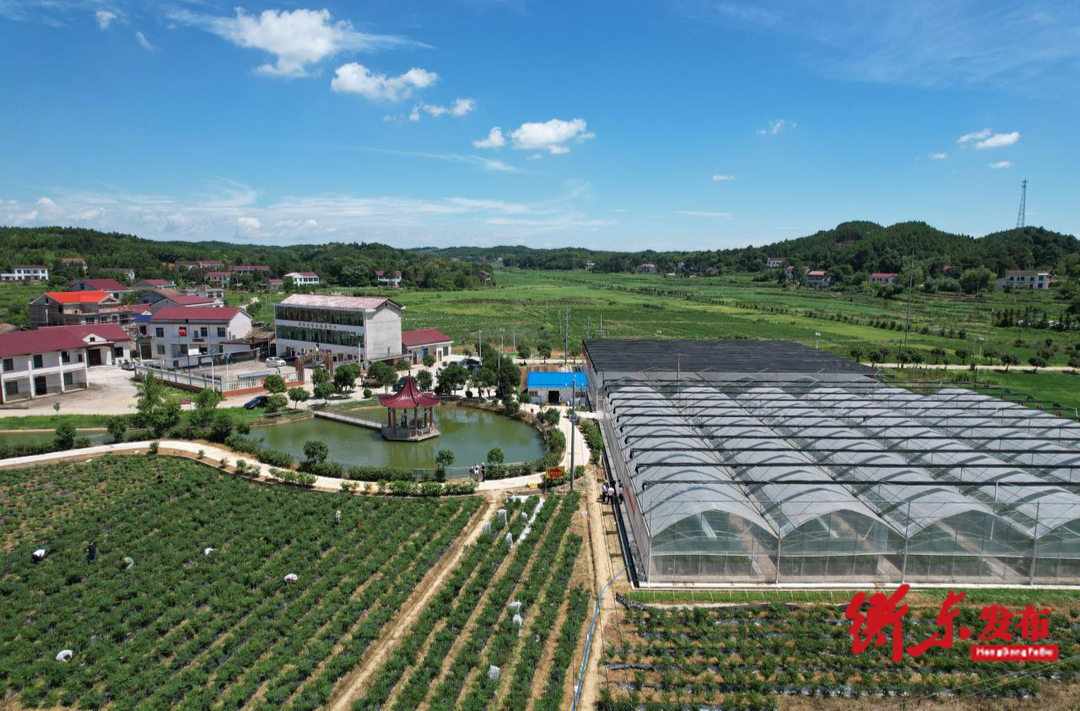  【政府工作报告解读】展望2024年（六）坚定不移推进乡村振兴攻坚，厚实高质量发展成色