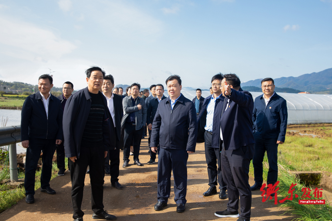 谭建华赴荣桓镇南湾村现场调度“百千工程”精品村创建工作