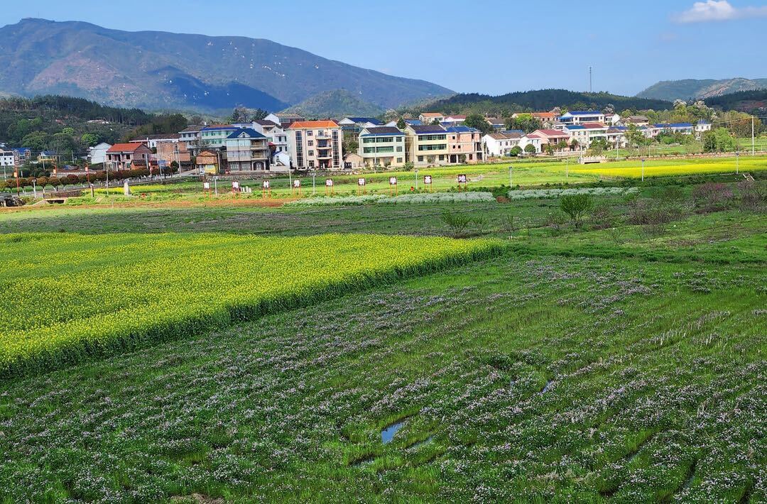 【喜迎旅发大会】“衡”美乡村 衡东县南湾村：激活红色资源   赋能乡村治理