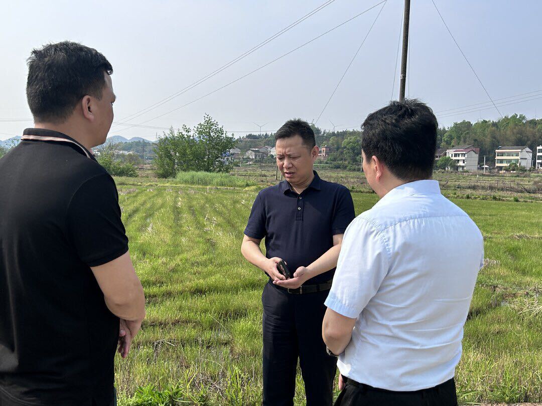 伍松深入各乡镇调研粮食生产、人居环境整治、森林防灭火等工作 