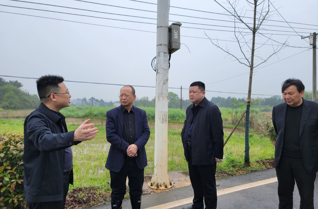 段忠贤深入高湖镇调研指导当前重点工作