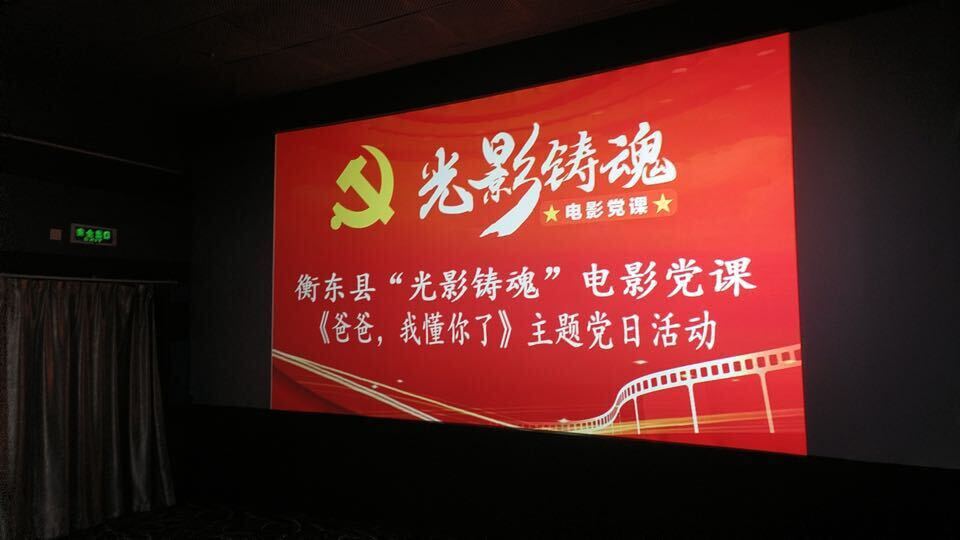 县城乡投党支部开展“光影铸魂”主题党日活动