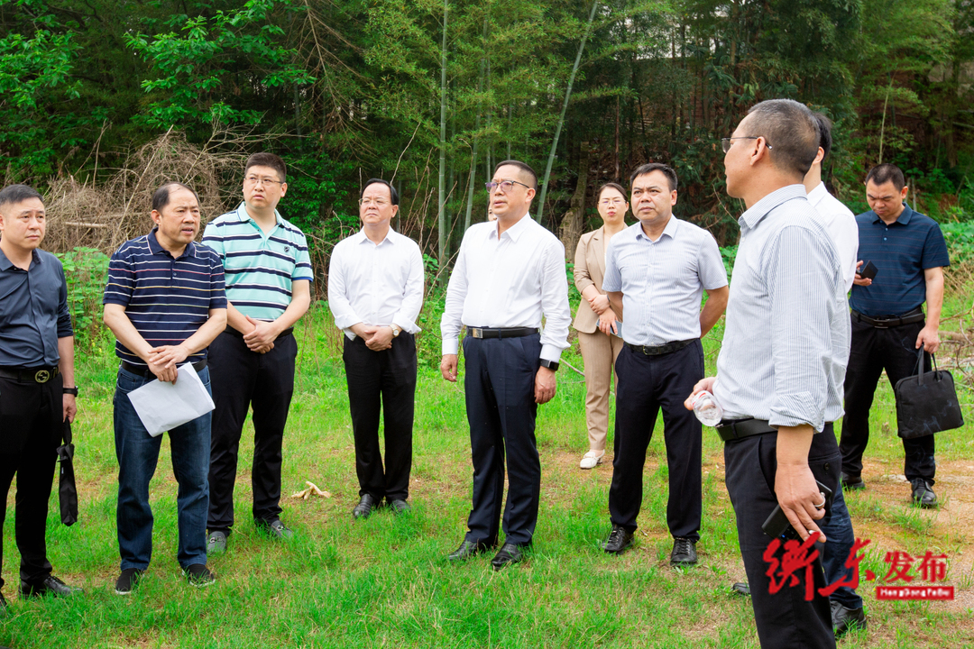 蒋崇华赴新塘镇调研新塘法庭建设项目工作