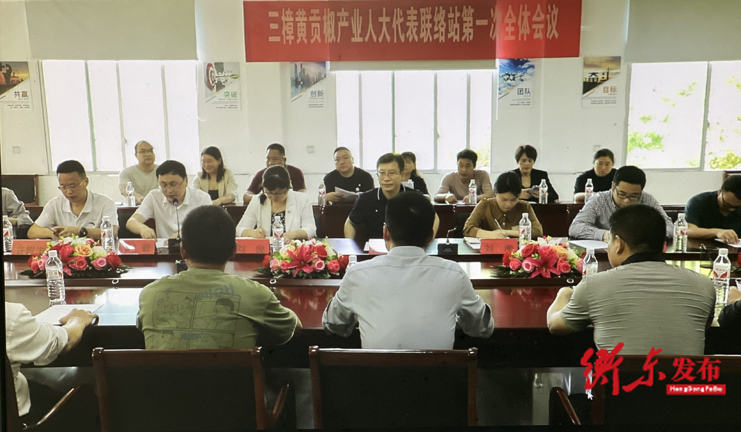 衡东县人大常委会2024年工作回眸（三）激发代表活力、注重强基固本，推动守正创新更加有质，人民当家作主更加有感
